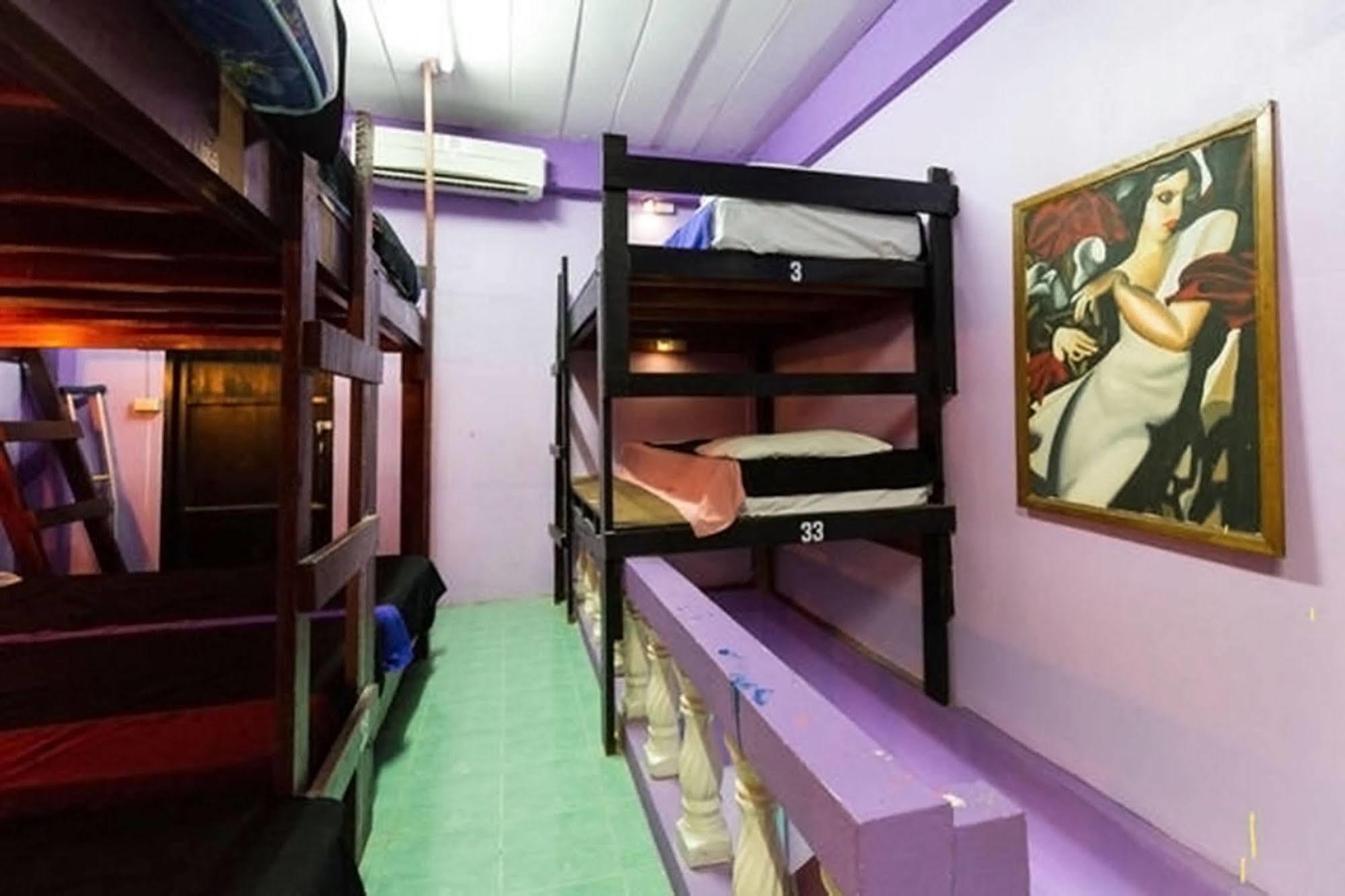 Wild & Wandering Backpacker Hostel & Bar Hatrin Kültér fotó