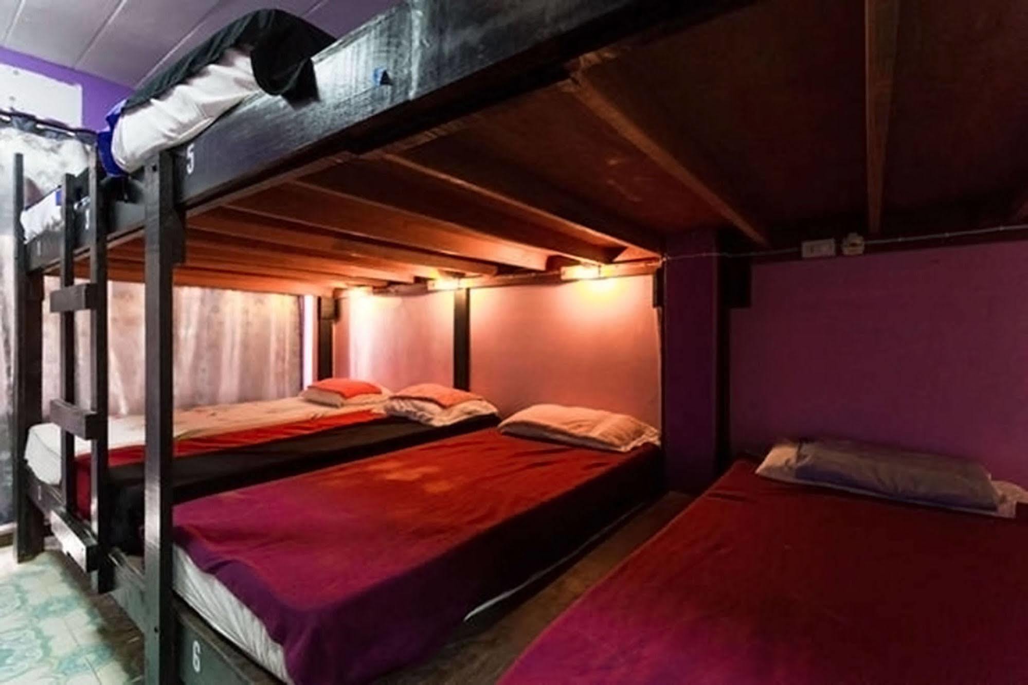 Wild & Wandering Backpacker Hostel & Bar Hatrin Kültér fotó