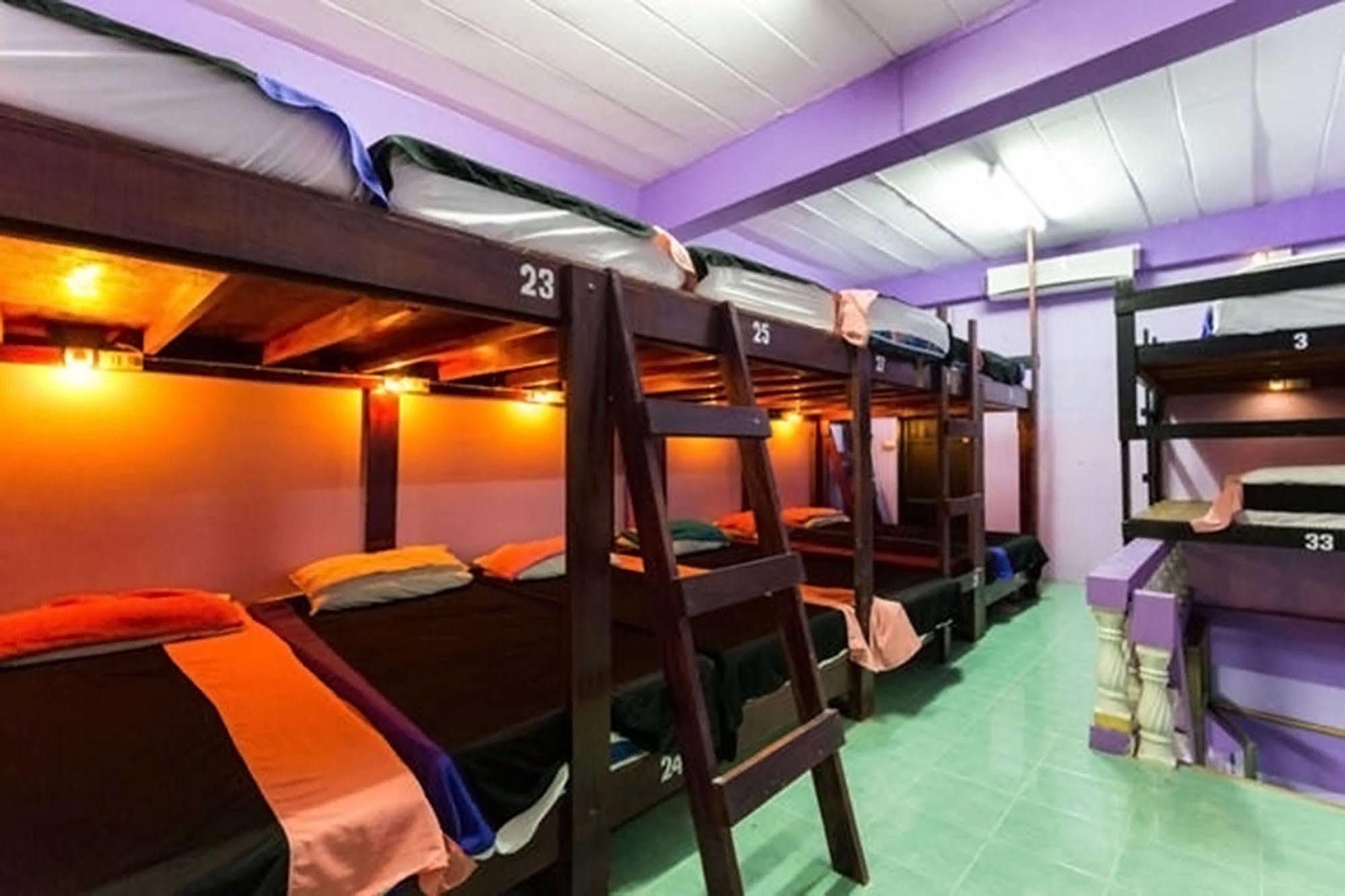 Wild & Wandering Backpacker Hostel & Bar Hatrin Kültér fotó