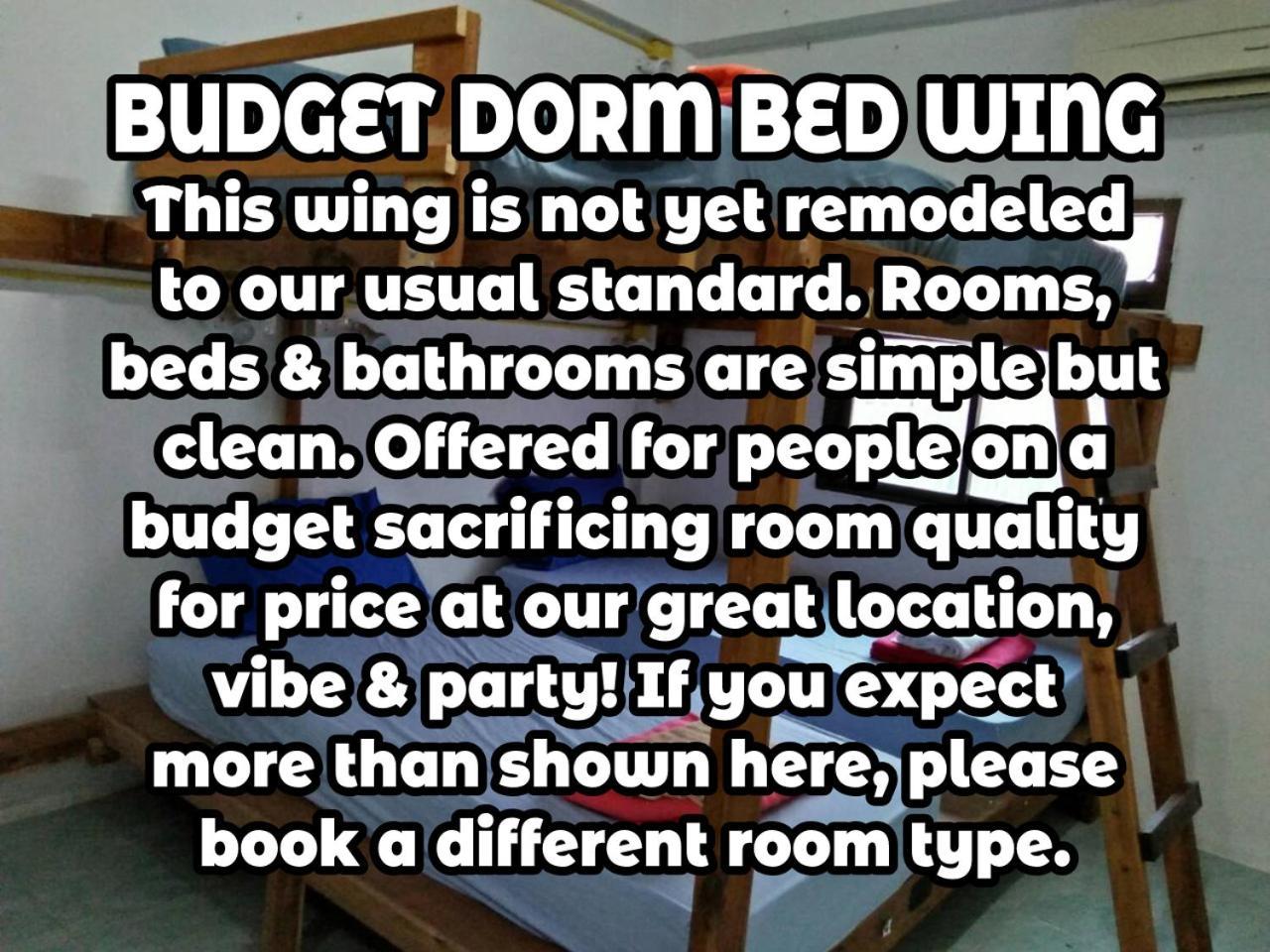 Wild & Wandering Backpacker Hostel & Bar Hatrin Szoba fotó